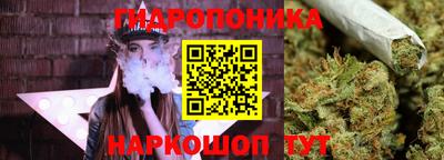 скорость Долгопрудный