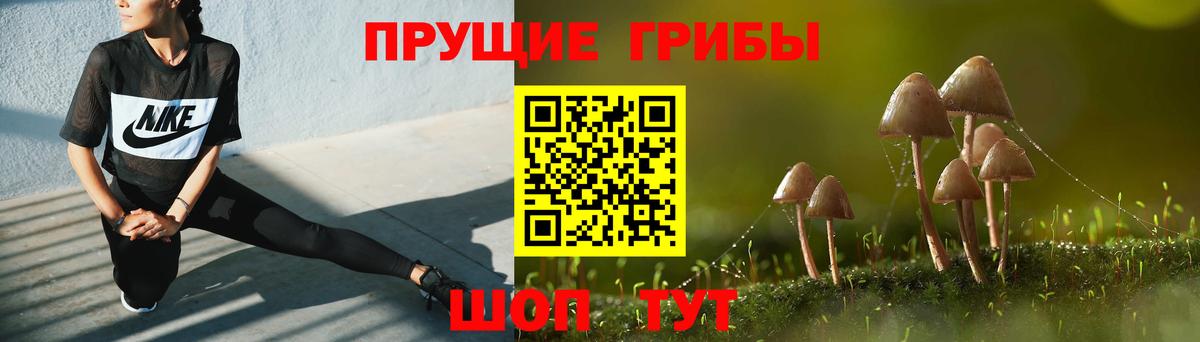 Галлюциногенные грибы мухоморы Гулькевичи